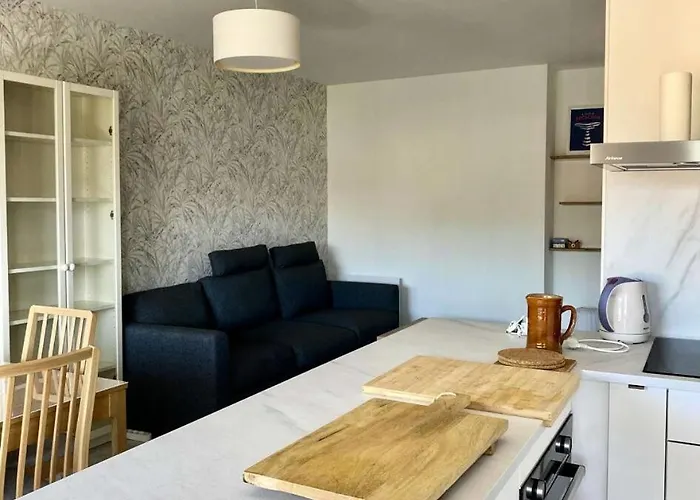 Les Oyats - T3 Renove 55m², Balcon Sud & Parking - Centre-ville Mae-9734